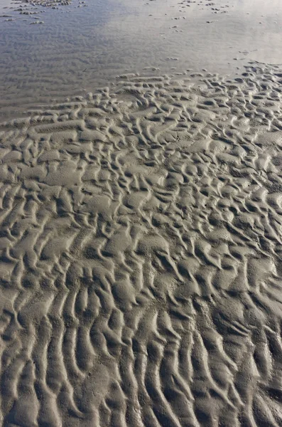 Sand Dunes Desert — Stock Photo, Image