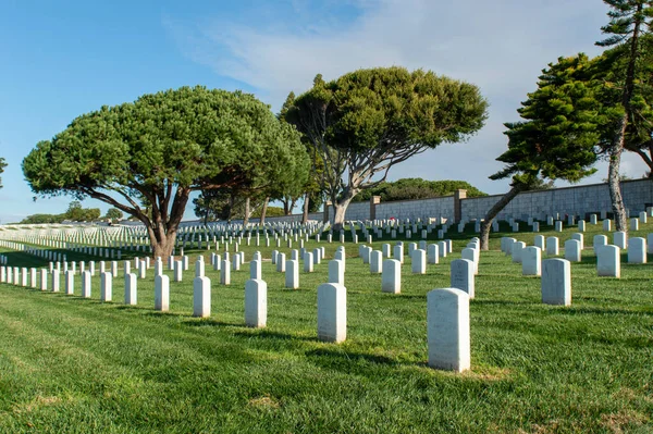 Cemitério Branco Azul Com Uma Bandeira Irlanda — Fotografia de Stock