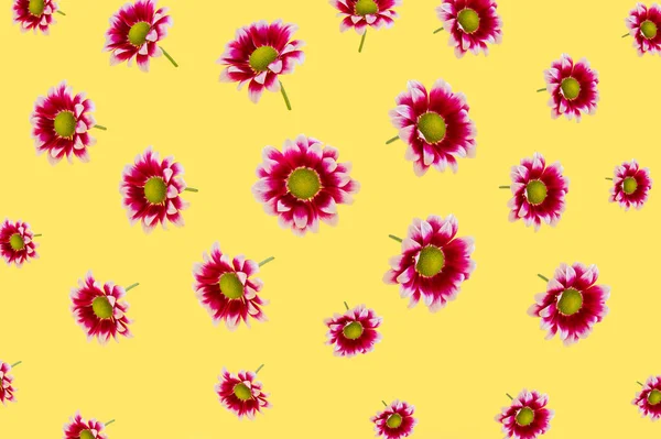 Красивый Цветочный Узор Цветочный Фон — стоковое фото