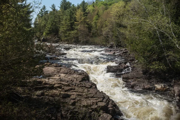 Waterval Het Bos Overdag Altai Georgia — Stockfoto