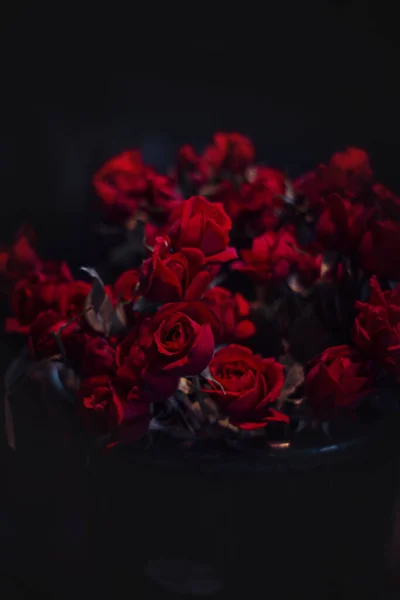 ดอกก หลาบส แดงบนพ นหล — ภาพถ่ายสต็อก