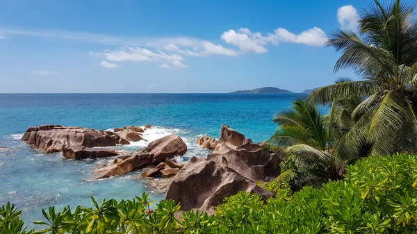 Wunderschöner Tropischer Strand Mit Palmen Und Blauem Himmel — Stockfoto