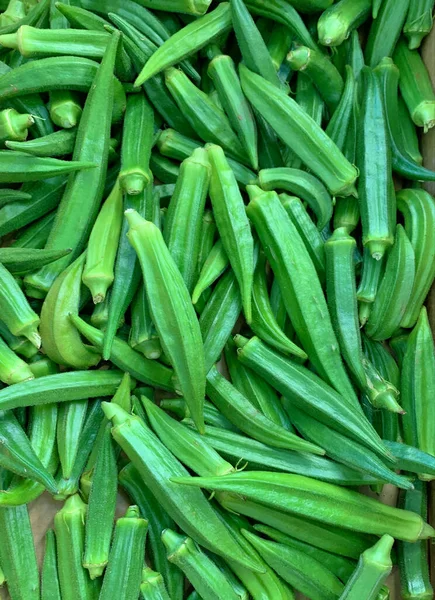 Grüne Bohnen Auf Weißem Hintergrund — Stockfoto