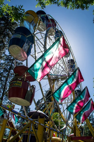 Ruota Panoramica Nel Parco — Foto Stock