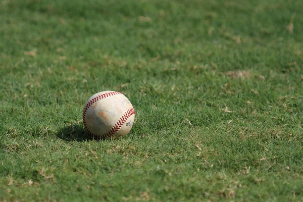 Baseballball Auf Dem Rasen — Stockfoto