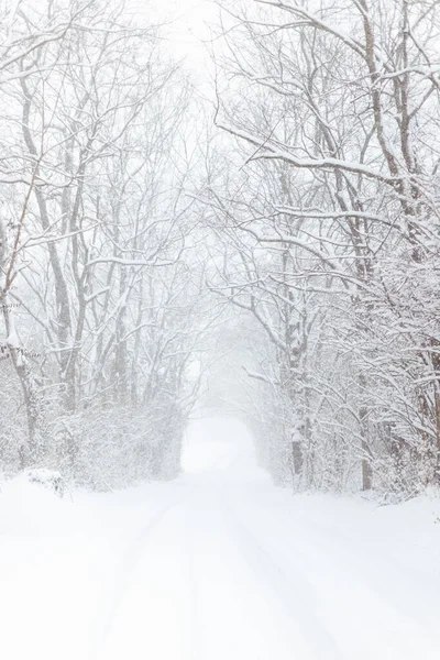 Vinterlandskap Med Snö — Stockfoto