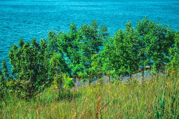 Beautiful View Sea Beach — Stock Photo, Image