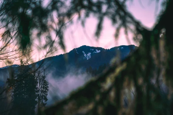 의산들로 뒤덮인 아름다운 — 스톡 사진