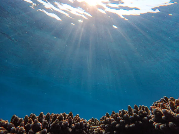 Onderwater Zicht Zee Oceaan Water Zon — Stockfoto