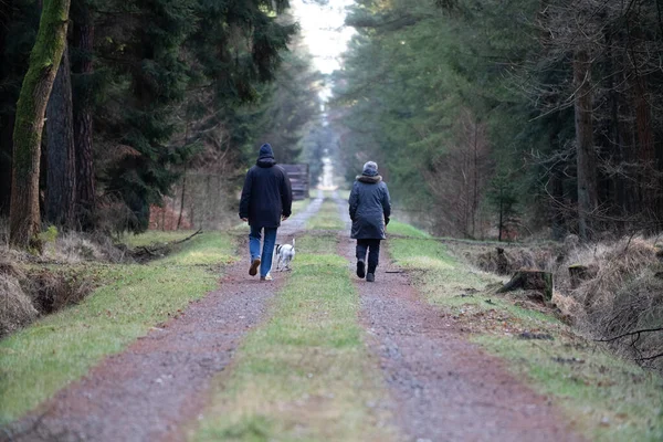 Paar Spaziert Wald — Stockfoto