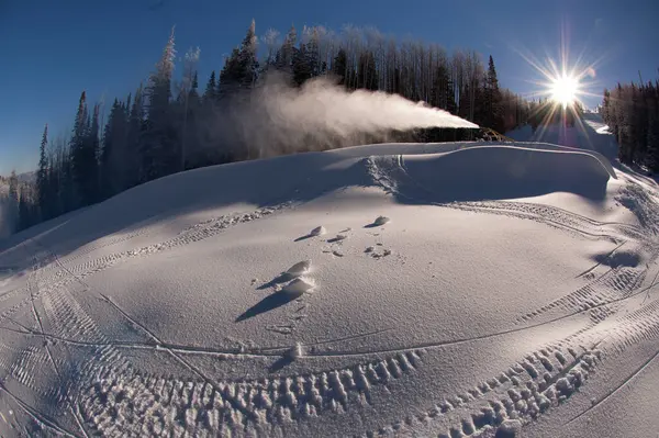 Paisaje Invernal Con Árboles Cubiertos Nieve — Foto de Stock