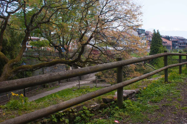 Schöner Blick Auf Die Stadt Des Parks — Stockfoto