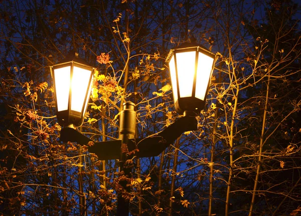 Linterna Ciudad Nocturna — Foto de Stock