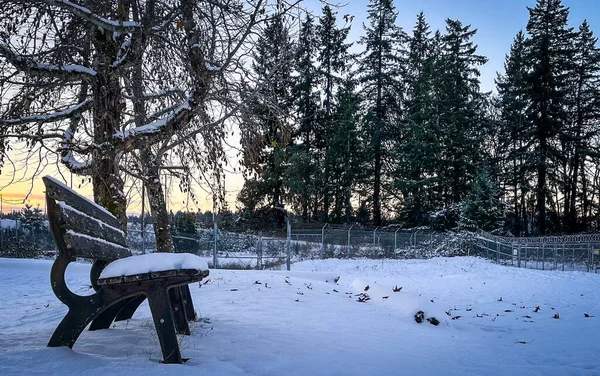 Paisagem Inverno Com Árvores Cobertas Neve — Fotografia de Stock