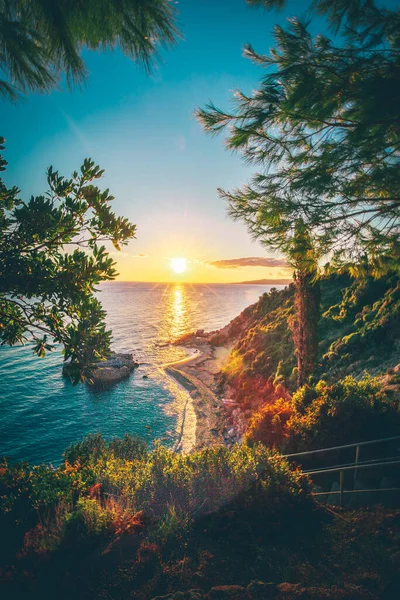 Schöner Tropischer Strand Mit Bäumen Und Meer — Stockfoto