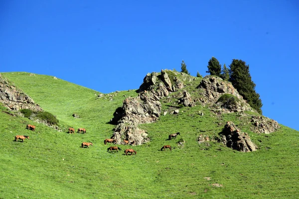 Piękny Krajobraz Pasmem Górskim — Zdjęcie stockowe