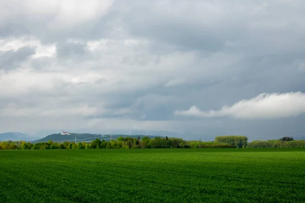 Groen Veld Met Wolken Blauwe Lucht — Stockfoto