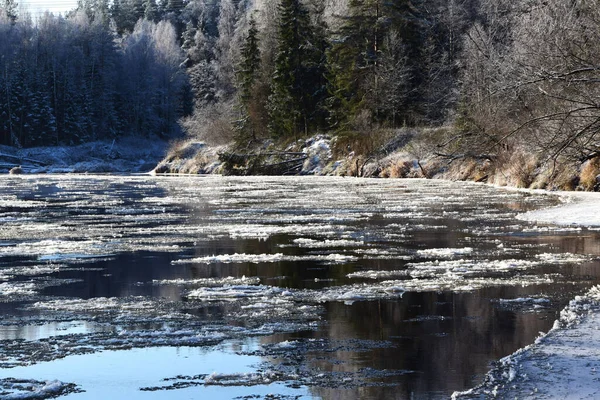 Paysage Hivernal Avec Arbres Enneigés — Photo