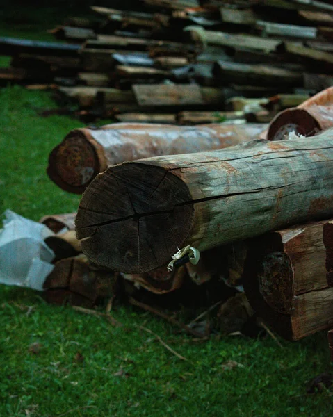 Holzstämme Wald — Stockfoto