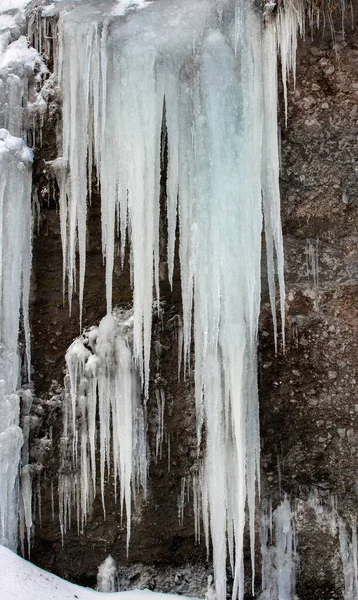 冬季森林冰上的冰柱 — 图库照片