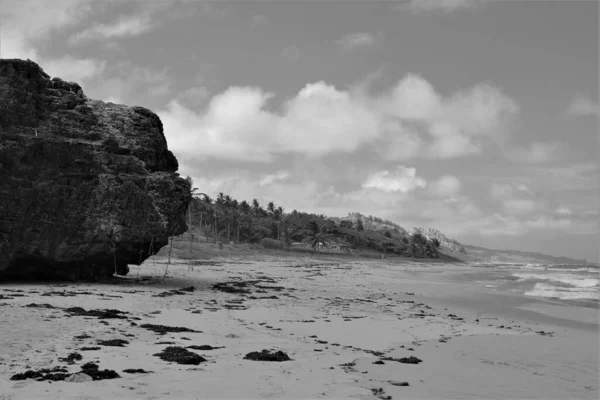 Black White Sand Beach Rocks Sea — Stock Photo, Image
