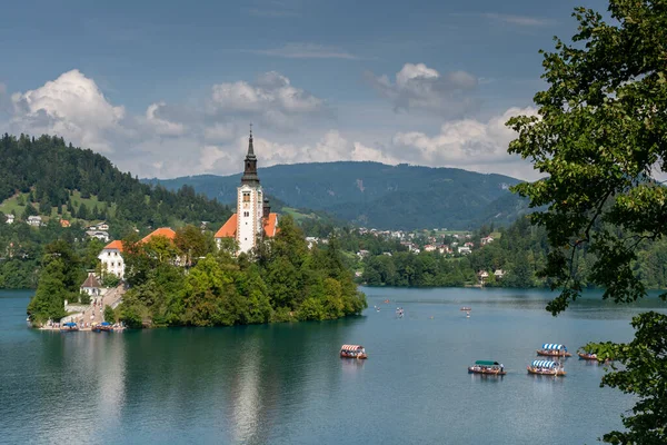 Saigné Vue Sur Slovenia Lac — Photo