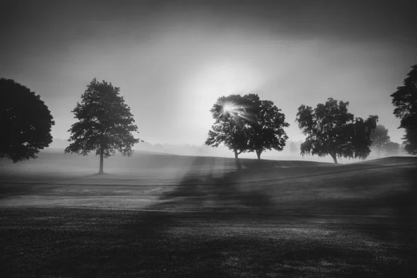 Bela Paisagem Com Árvores Campo — Fotografia de Stock