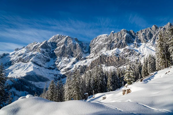 Красивый Зимний Пейзаж Заснеженными Горами — стоковое фото