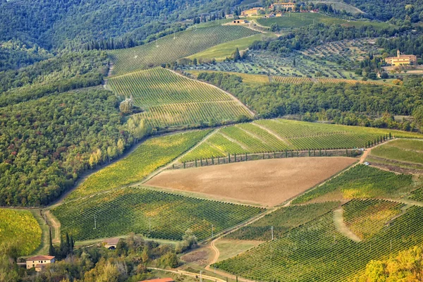 Krásný Výhled Vinice Regionu Chianti Toskánsko Itálie — Stock fotografie