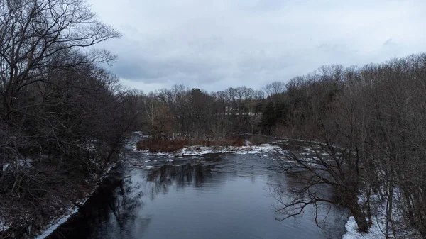 Rivière Dans Forêt — Photo