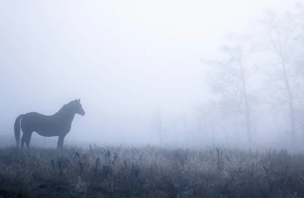 Krásný Výhled Krajinu — Stock fotografie