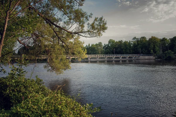 公園内の川の美しい景色 — ストック写真