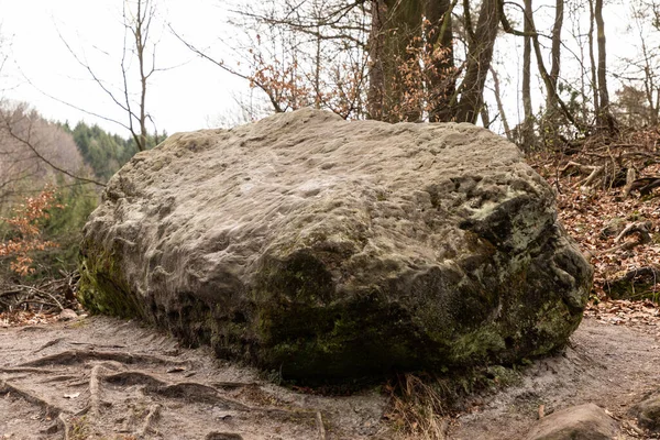 Een Groot Stenen Pad Het Bos — Stockfoto