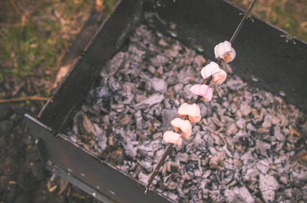 Fleisch Und Gemüse Vom Grill — Stockfoto