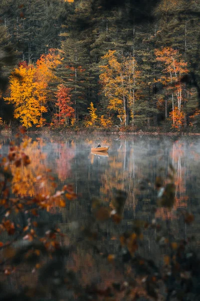 Höstskog Sjön Vacker Natur Landskap — Stockfoto