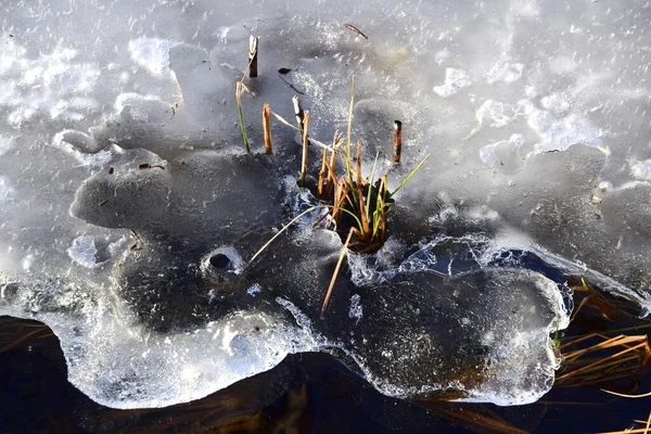 Лед Реке — стоковое фото