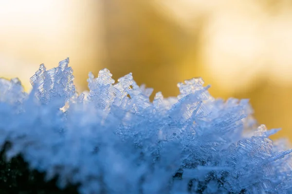 Prachtig Winterlandschap Met Sneeuw — Stockfoto