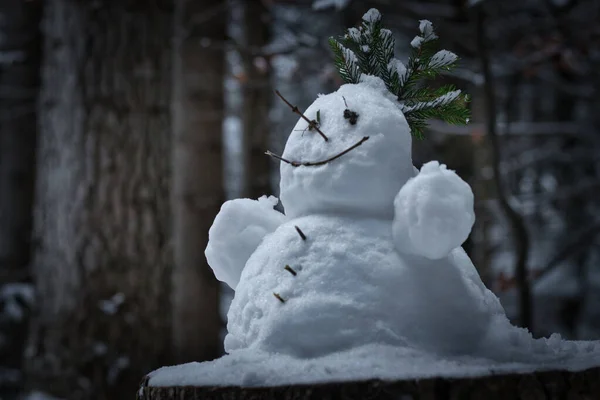 Снеговик Снегу — стоковое фото
