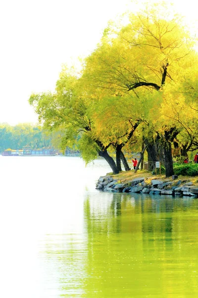 Nehir Gölü Olan Güzel Bir Manzara — Stok fotoğraf