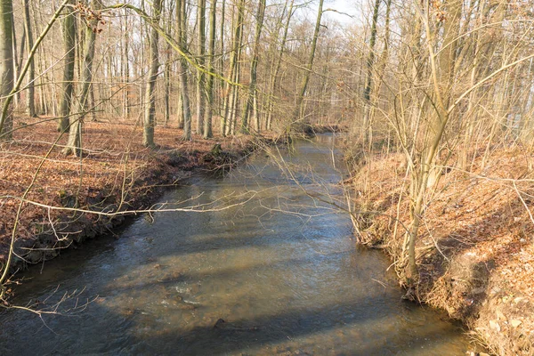 Fluss Wald — Stockfoto