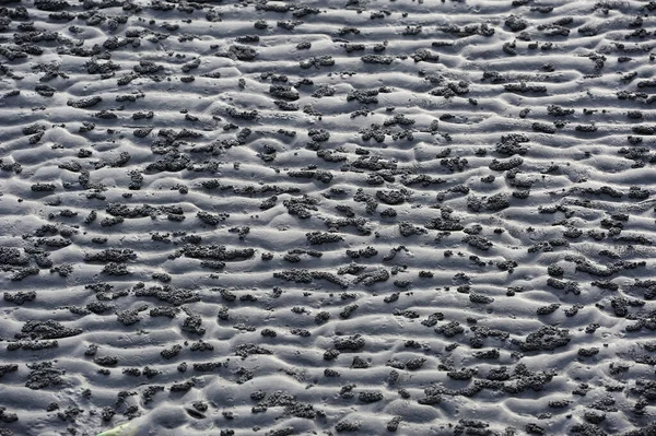 Fundo Abstrato Areia Seixos — Fotografia de Stock