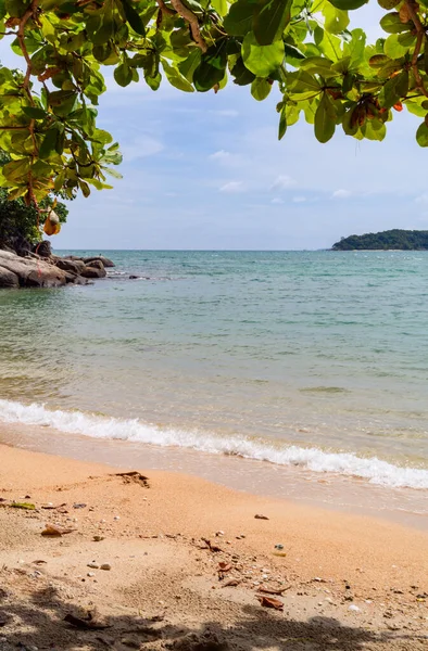 Bela Praia Tropical Com Palmeiras Céu Azul — Fotografia de Stock