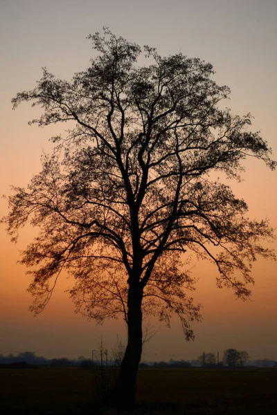 Beautiful Sunset Park — Stock Photo, Image