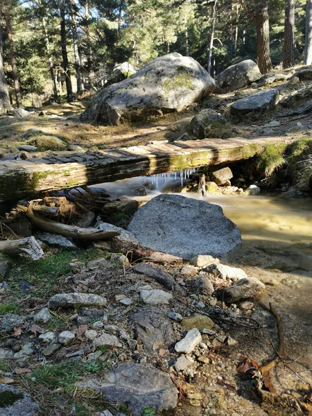 森の中の山の川の美しい景色 — ストック写真
