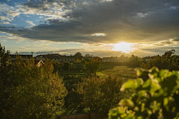 Prachtige Zonsondergang Boven Wijngaarden Het Platteland — Stockfoto