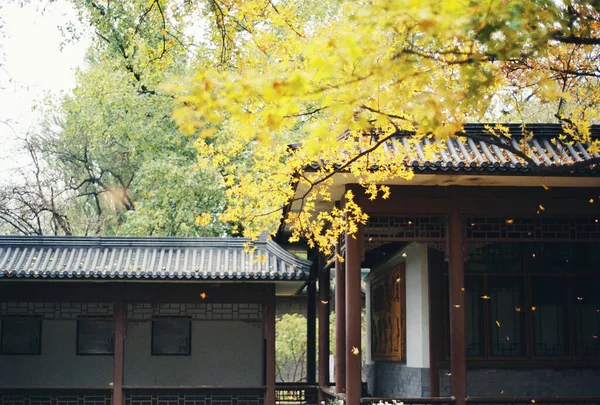 公園の美しい秋の風景 — ストック写真