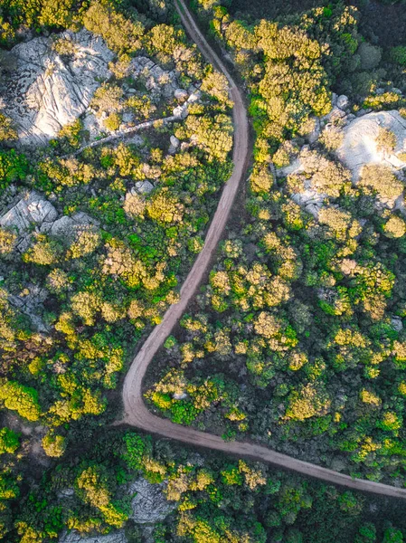 Воздушный Вид Дорогу Через Лес — стоковое фото