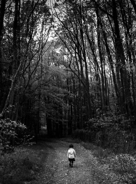 森の中にリュックを背負った黒い服を着た若い女性が — ストック写真
