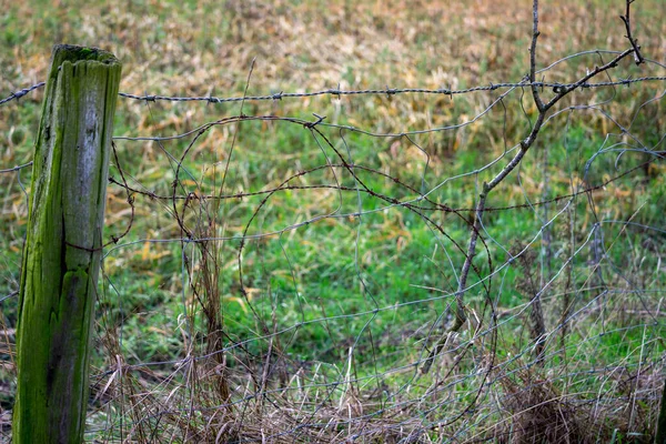 Barbed Wire Fence Field Royalty Free Stock Photos