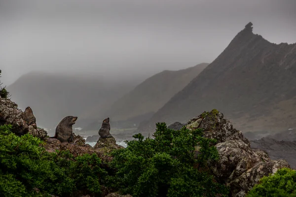 Bela Paisagem Das Montanhas — Fotografia de Stock